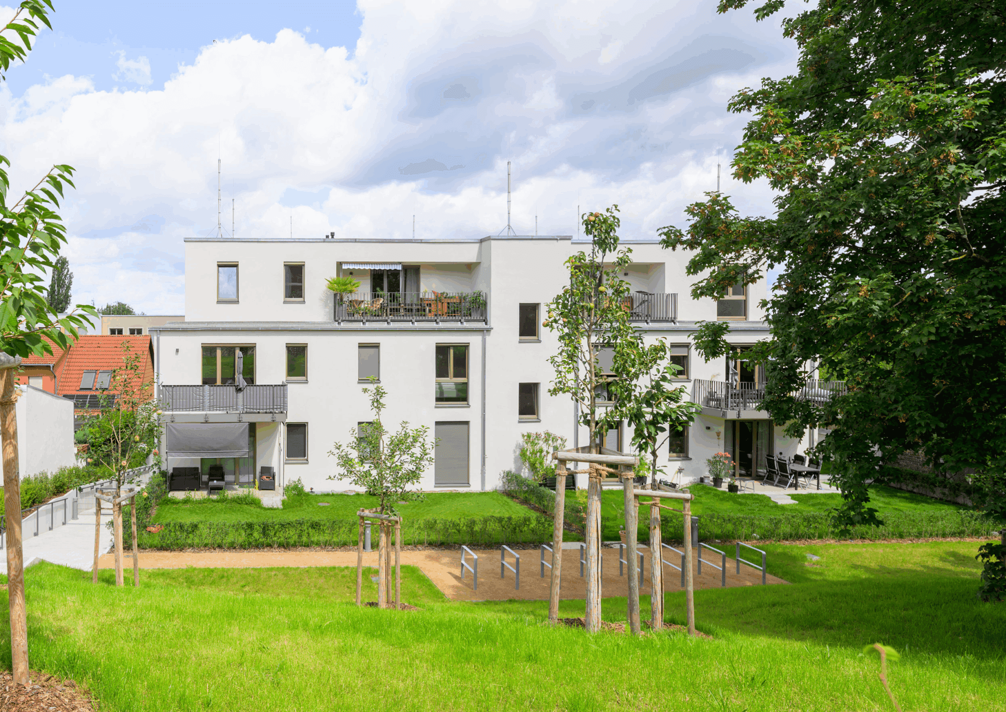 Grünfinken5